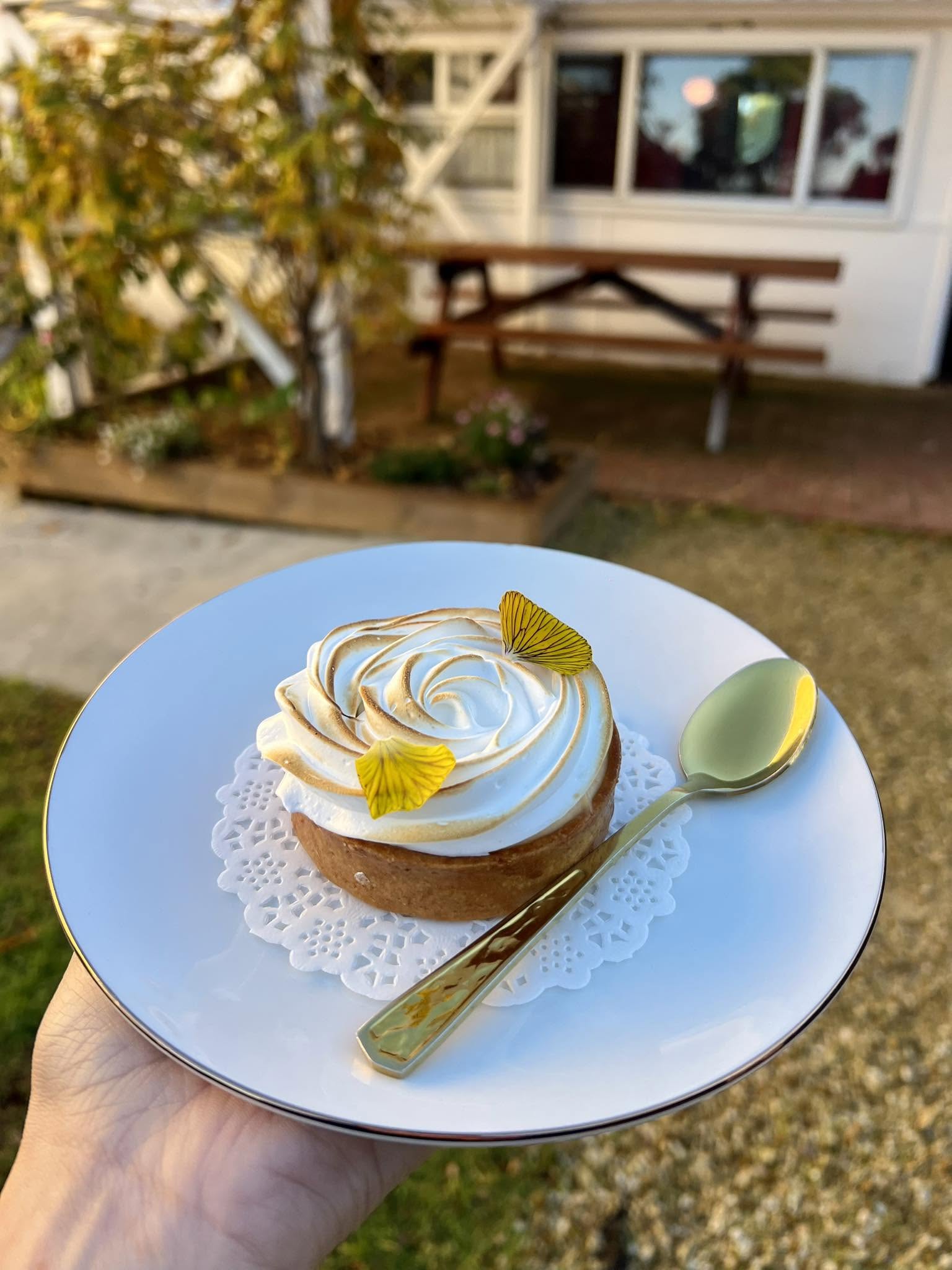A lemon meringue tart with torched Italian meringue and a yellow flower petal, on a white plate